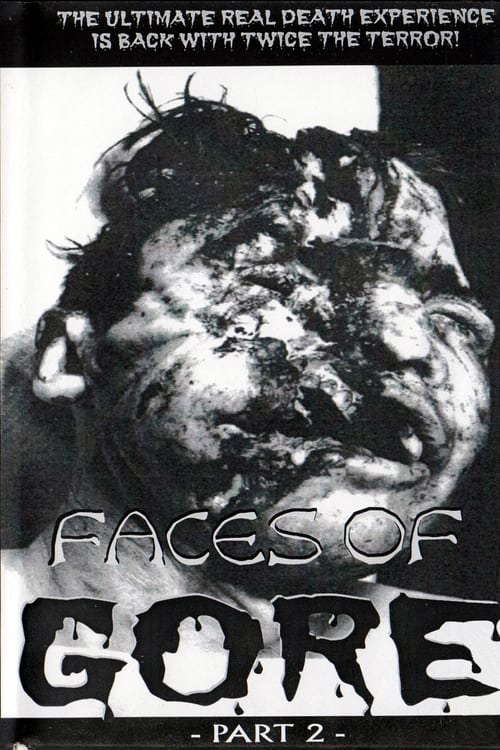 Faces Of Gore 2 poster