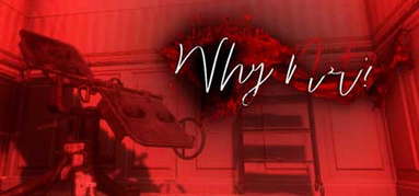 Why Not? capsule