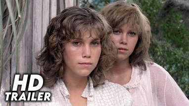 The Enchanted (1984) Original Trailer [FHD] poster