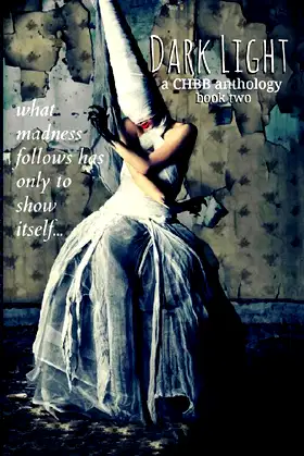 Dark Light Book 2 poster