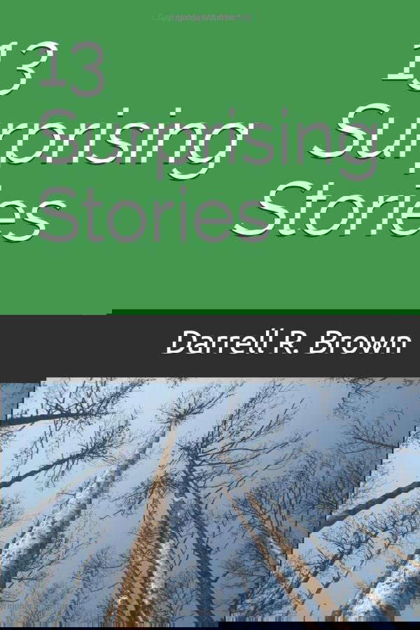 13 Surprising Stories (The Collected Works of Darrell R. Brown) poster