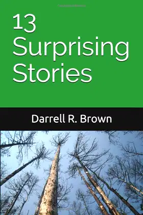 13 Surprising Stories (The Collected Works of Darrell R. Brown) poster
