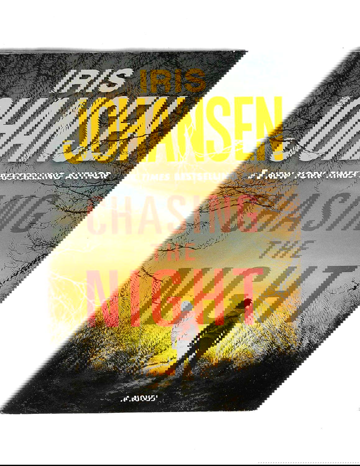 Chasing the Night (large print) poster