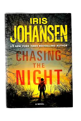 Chasing the Night (large print) poster