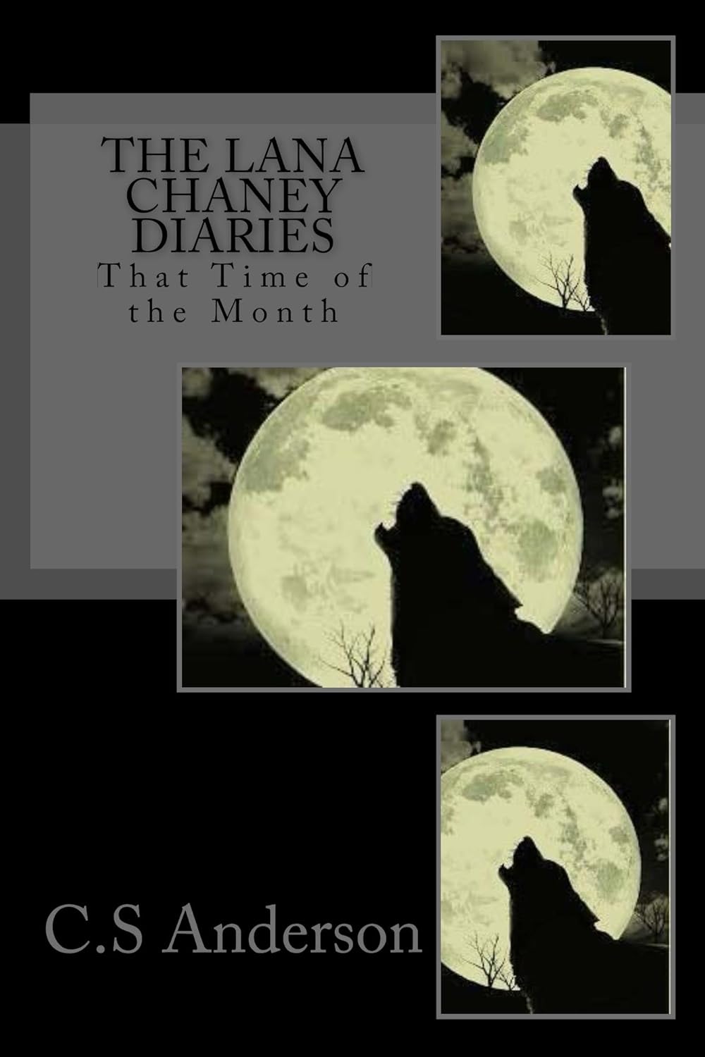 The Lana Chaney Diaries Book One That Time of the Month poster