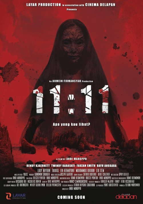 11:11: What Did You See? poster