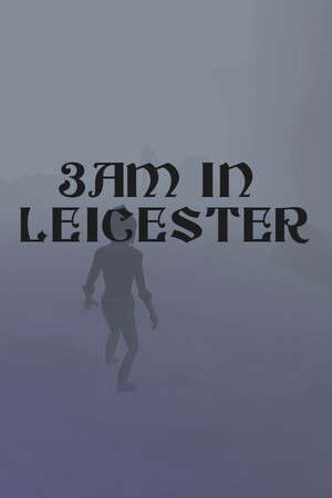 3am in Leicester poster