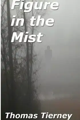 Figure in the Mist poster