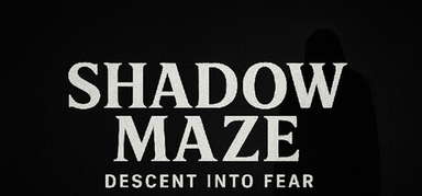 SHADOW MAZE Descent into Fear capsule