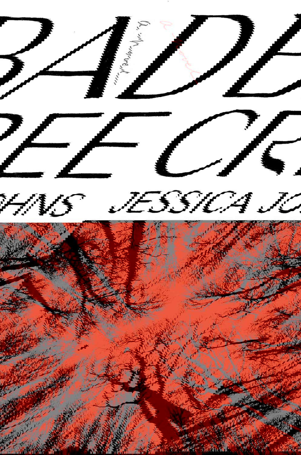 Bad Cree: A Novel poster