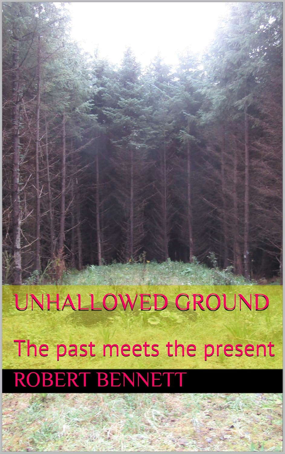 Unhallowed Ground: The past meets the present poster