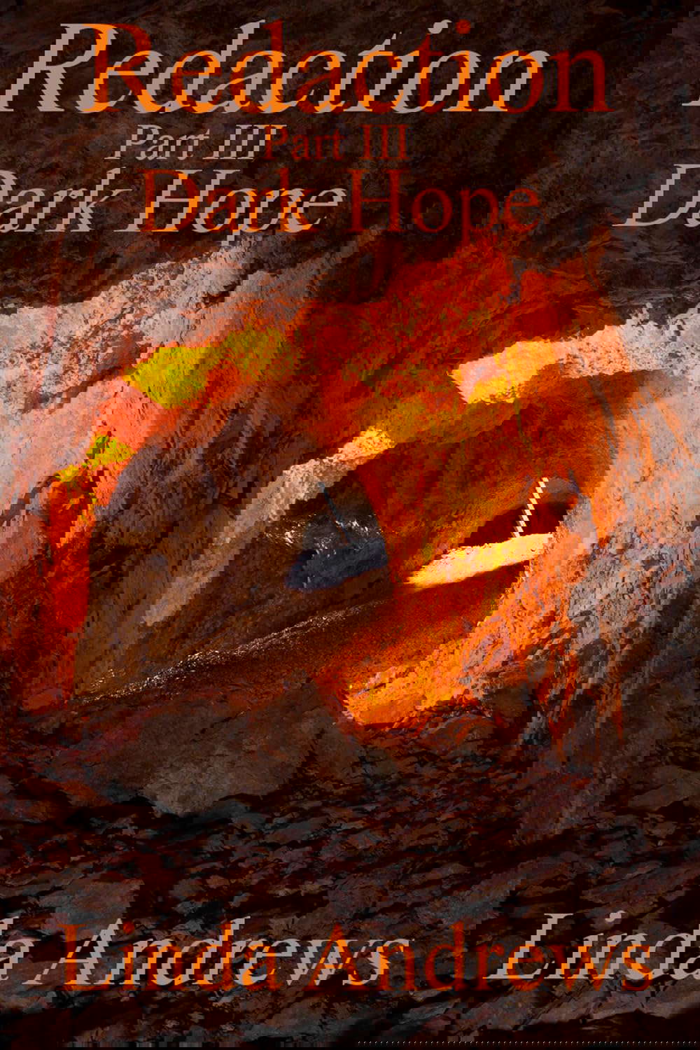 Redaction: Dark Hope Part III poster