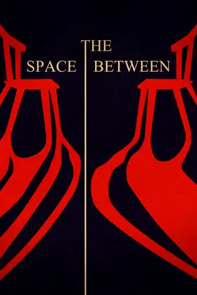 The Space Between poster
