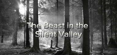 The Beast in the Silent Valley capsule