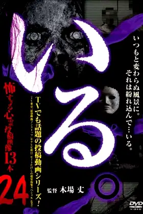 「Iru.」~ Kowasugiru Tōkō Eizō 13-hon ~ Vol.24 poster