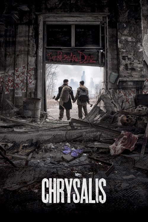 Chrysalis poster