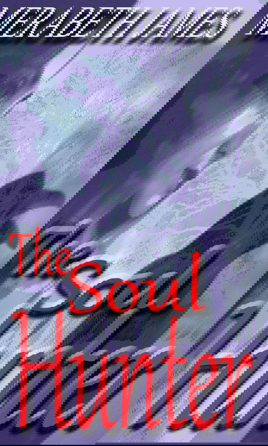 The Soul Hunter (A Ravynne Sisters Paranormal Thriller Book 12) poster