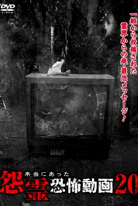 Real Vengeful Ghost Horror Video 20 poster