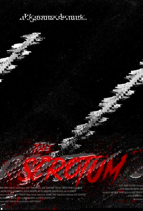 The Scrotum poster