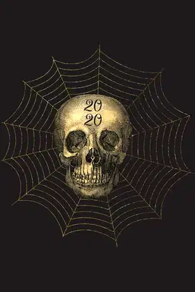 2020: Skull 6X9 Planner: Monthly/weekly calendars, budgets and to-do's poster