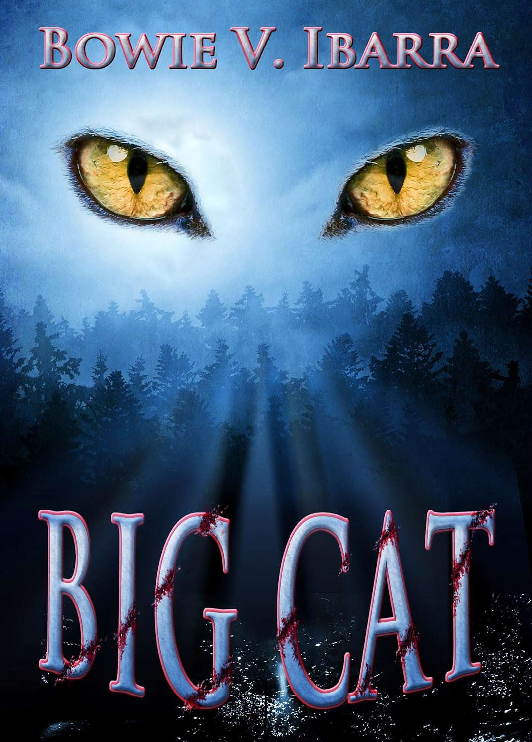 Big Cat poster