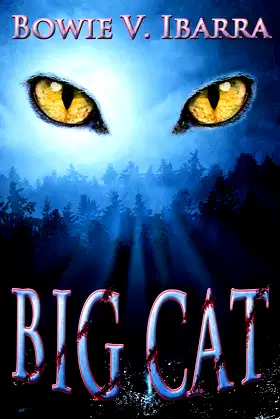 Big Cat poster