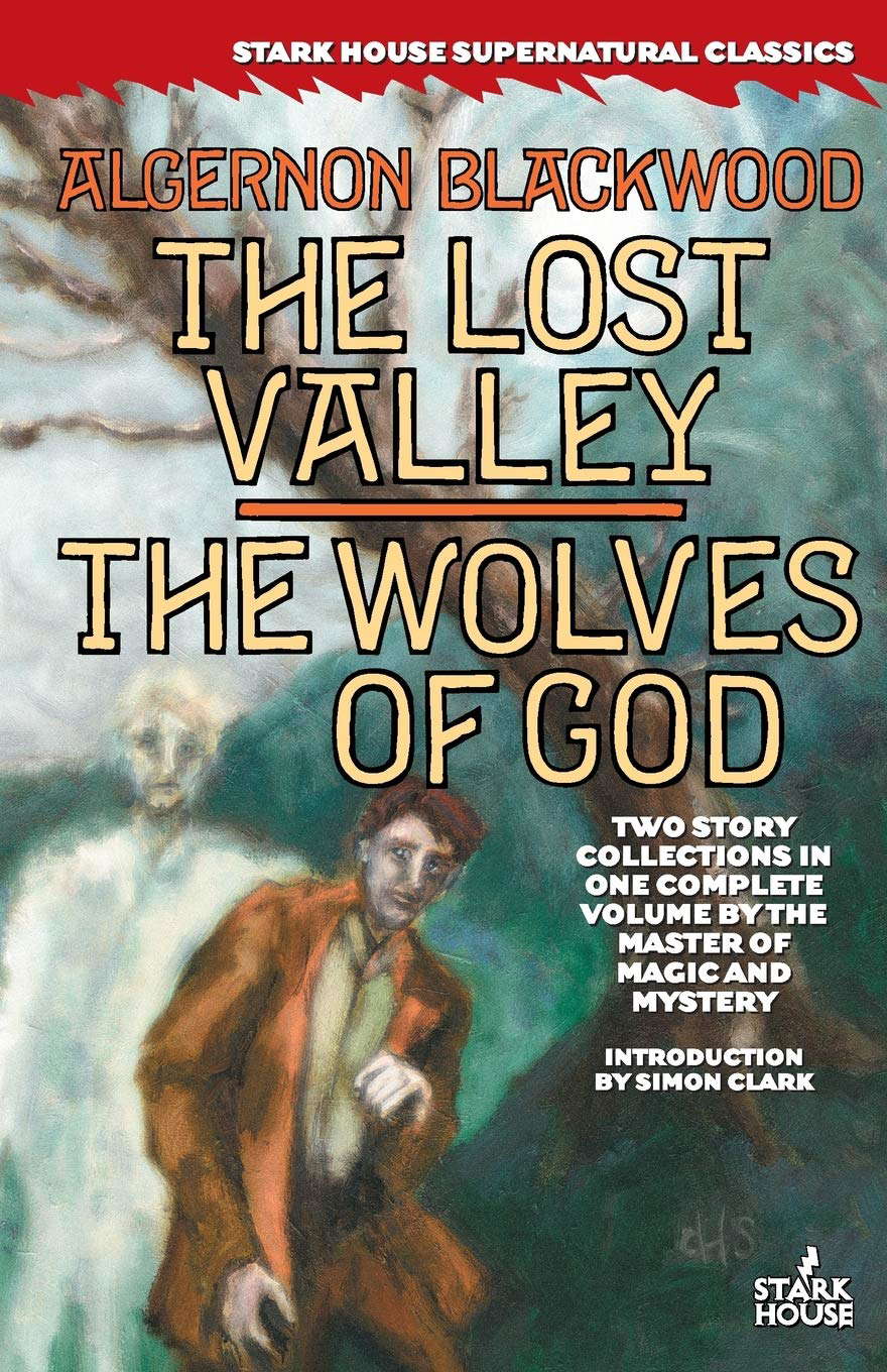 The Lost Valley / The Wolves of God poster