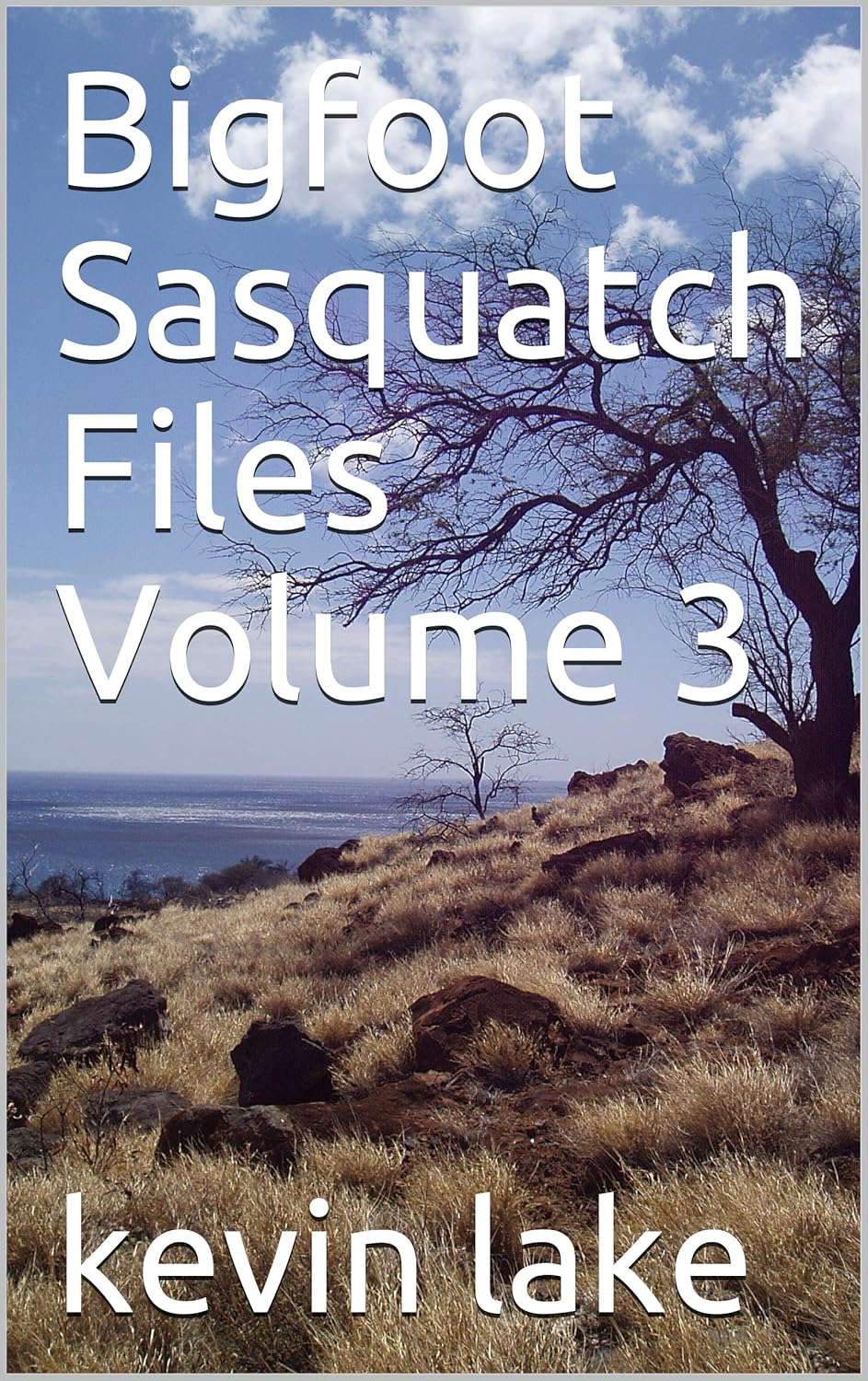 Bigfoot Sasquatch Files Volume 3 poster