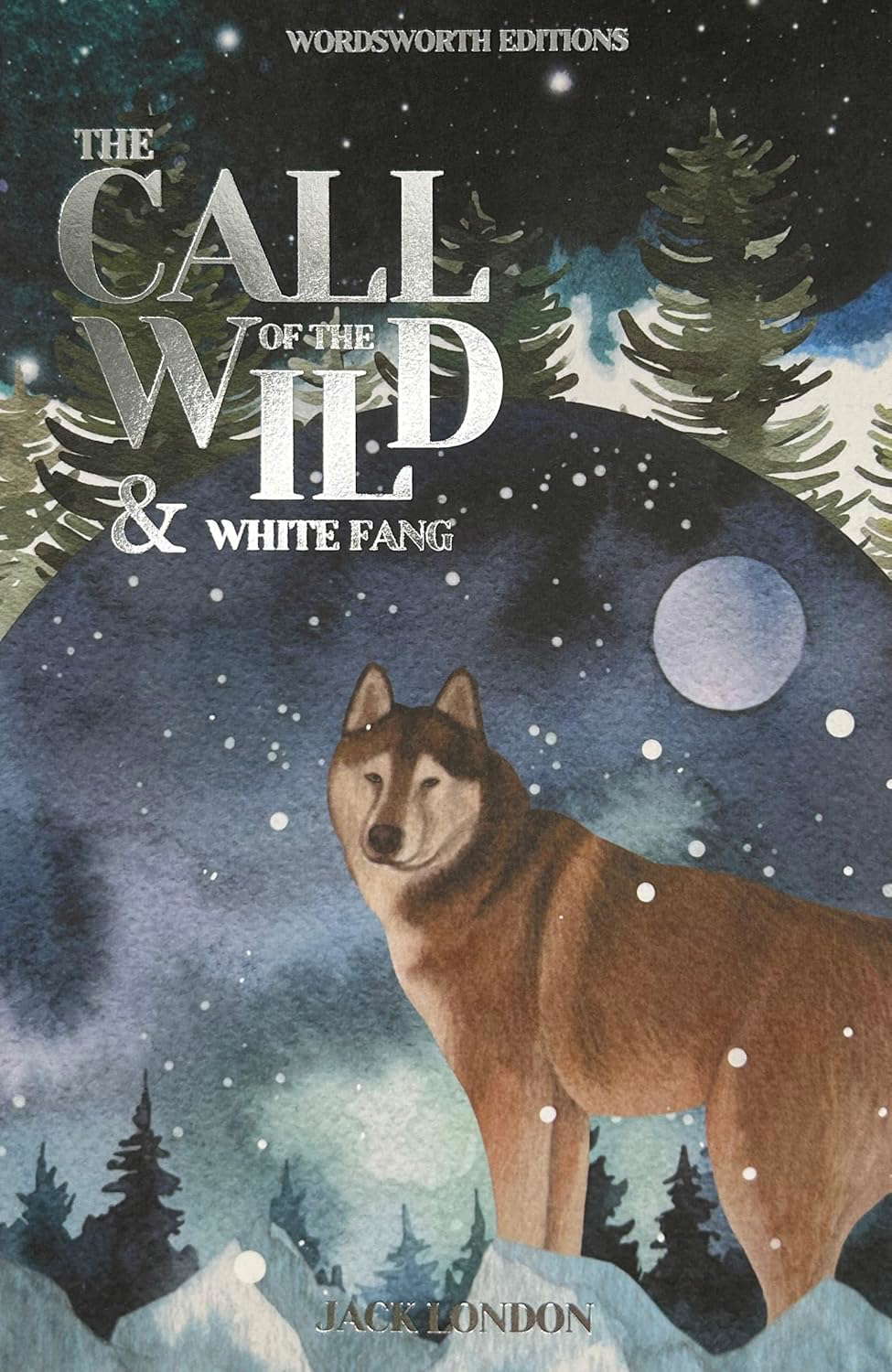 Call of the Wild and White Fang (Wordsworth Classics) poster