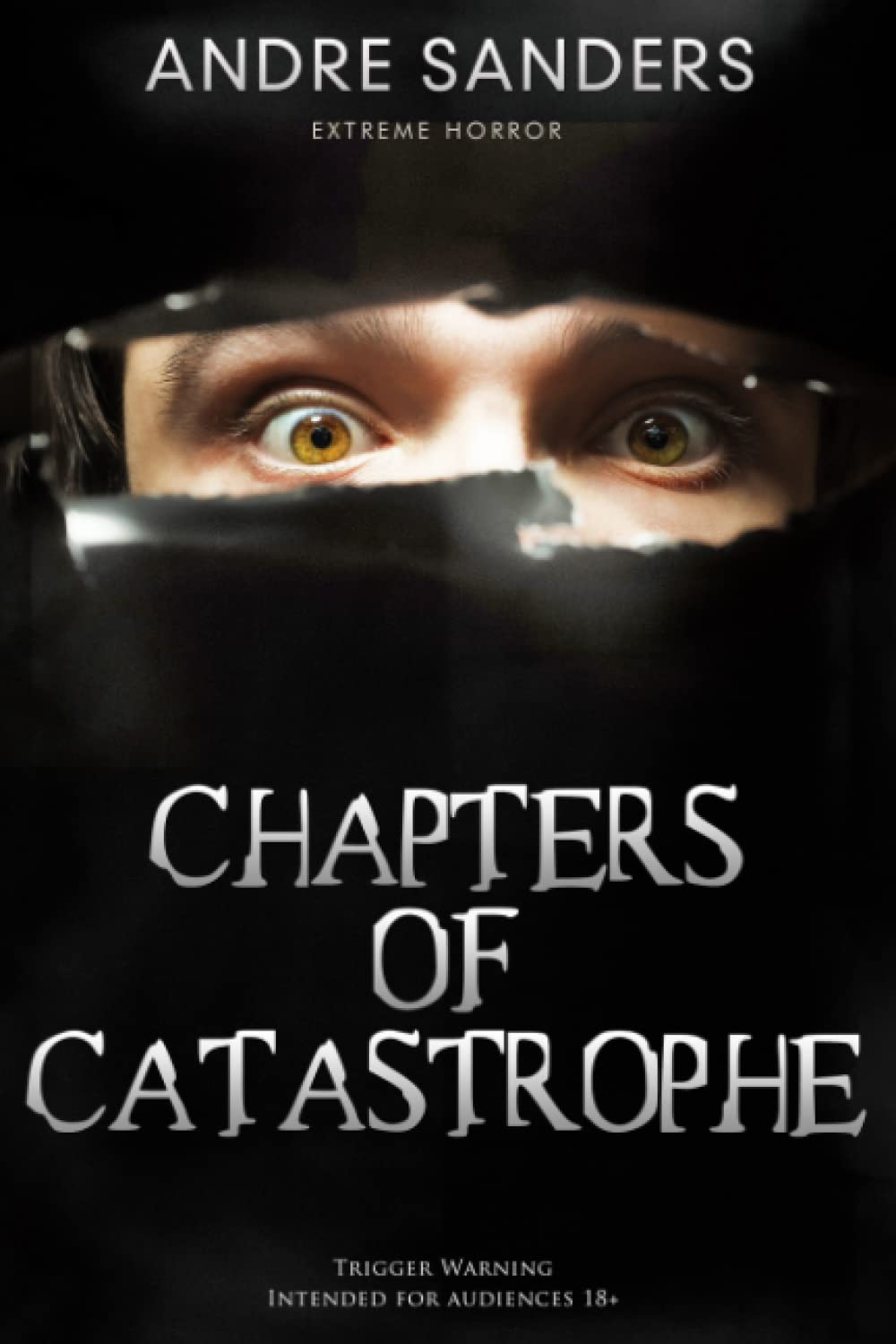 CHAPTERS OF CATASTROPHE poster