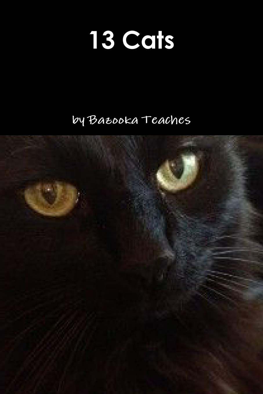 13 Cats poster