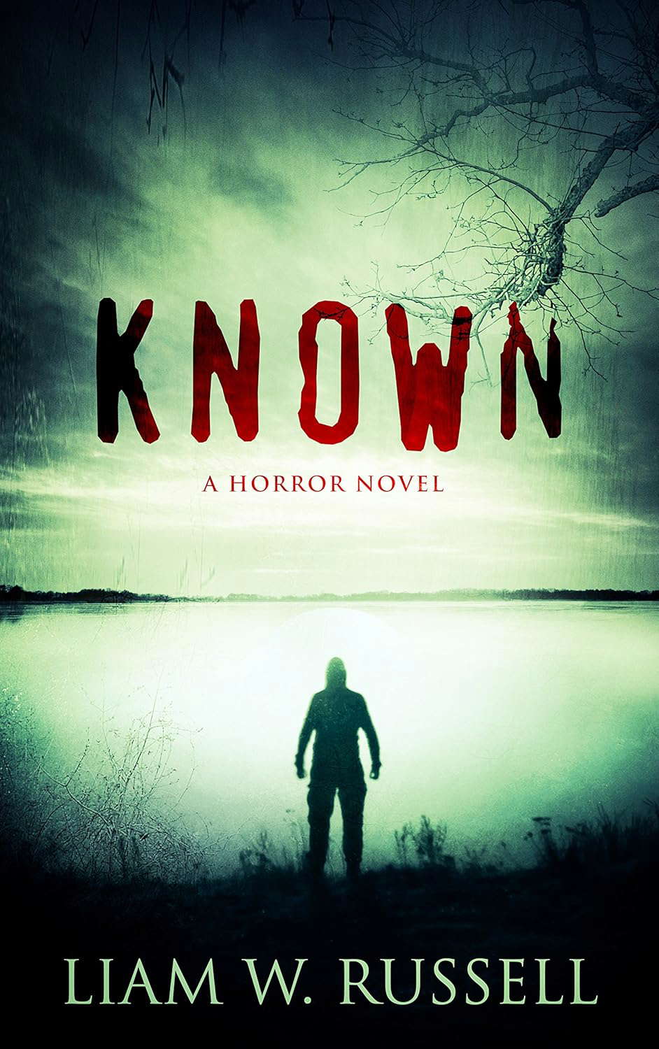Known: A Horror Novel poster