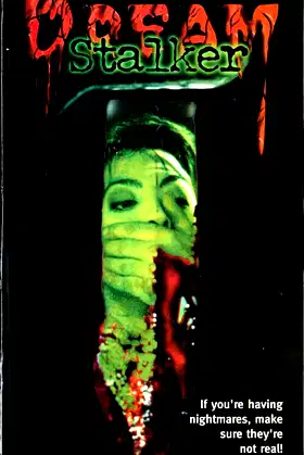 Dream Stalker poster
