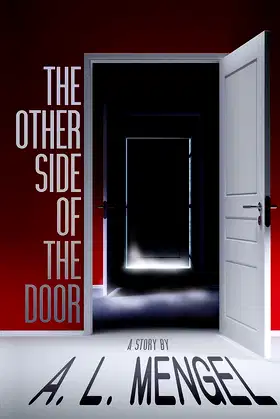 The Other Side of The Door poster