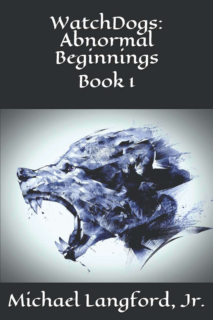 WatchDogs: Abnormal Beginnings poster
