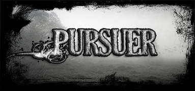 Pursuer capsule