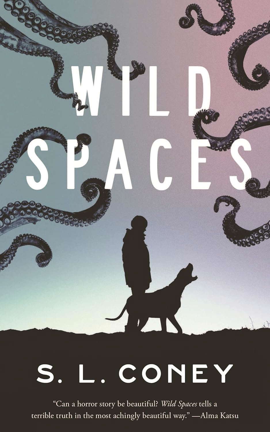 Wild Spaces poster