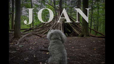 Joan short horror film poster