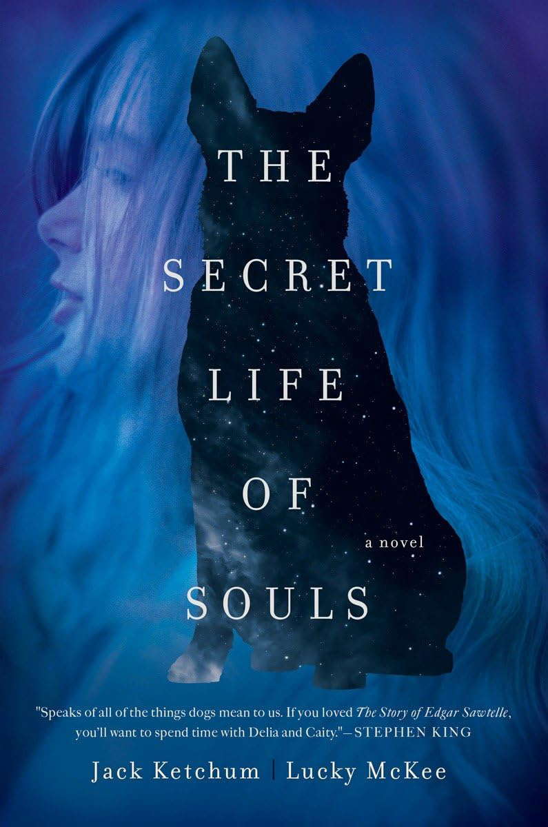 The Secret Life of Souls: A Novel poster
