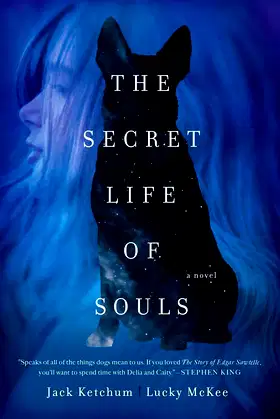 The Secret Life of Souls: A Novel poster