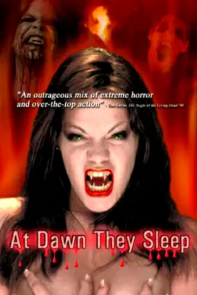 At Dawn They Sleep poster