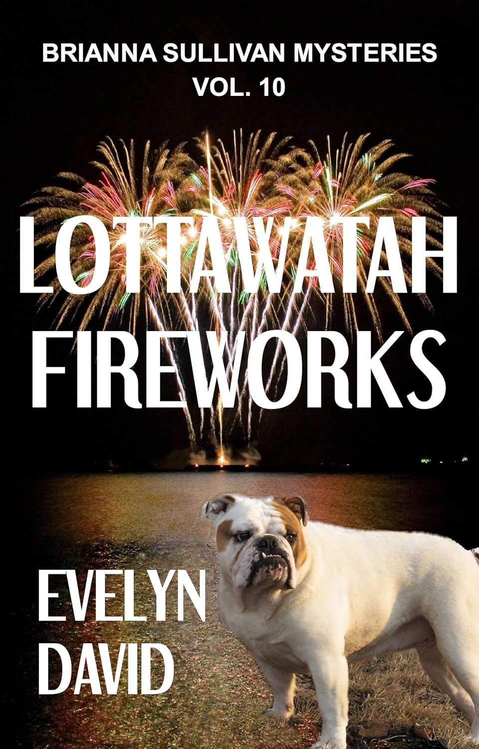 Lottawatah Fireworks (Brianna Sullivan Mysteries Book 10) poster