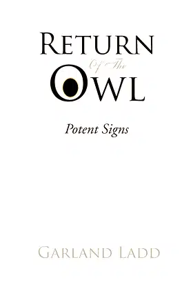 RETURN OF THE OWL: Potent Signs poster