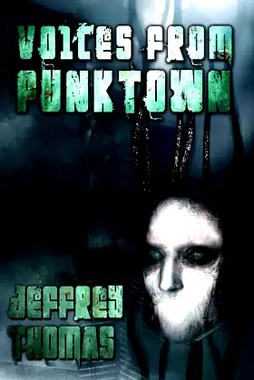 Voices From Punktown poster