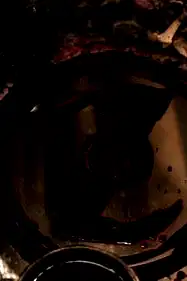 Shadow poster