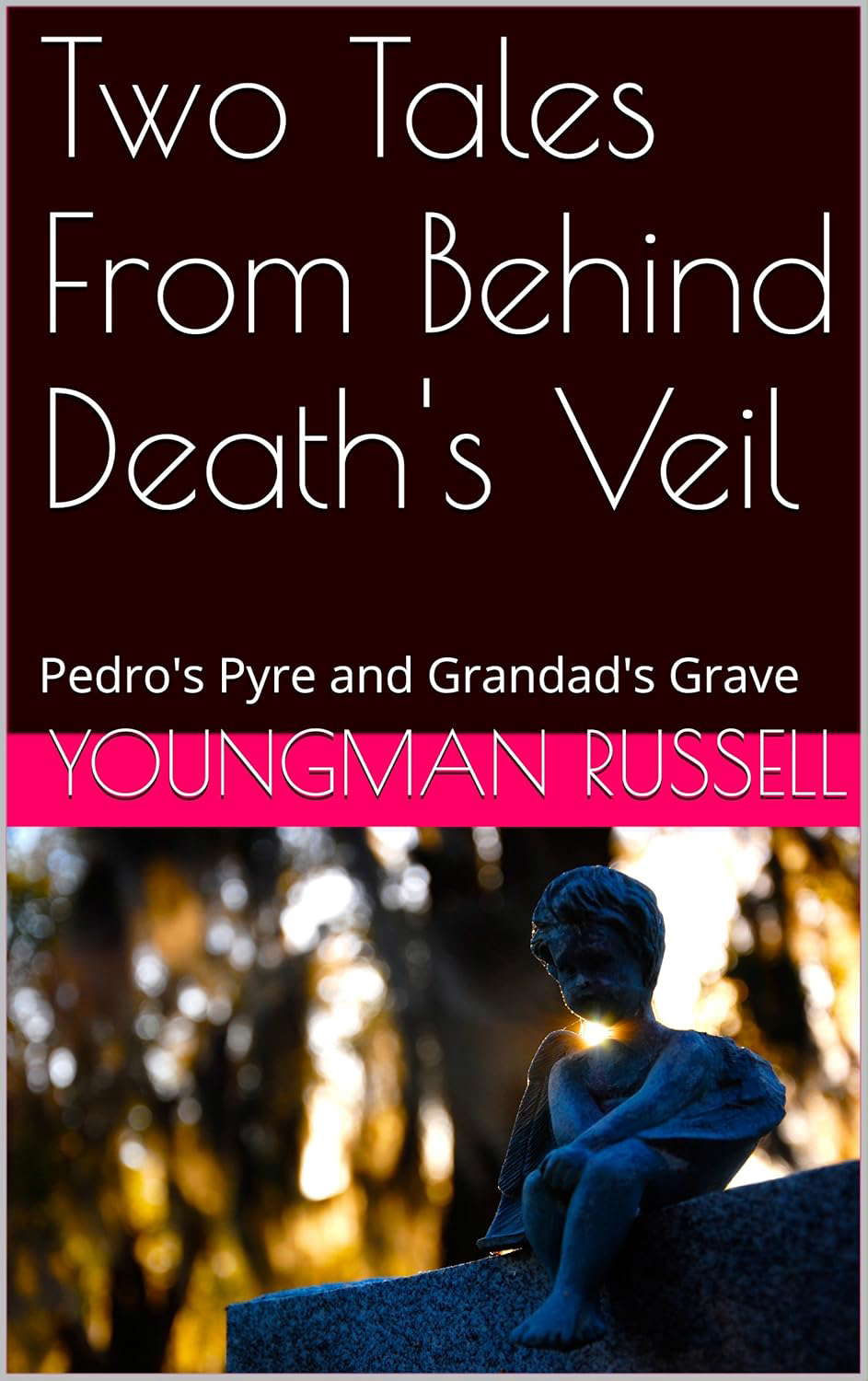 Two Tales From Behind Death's Veil: Pedro's Pyre and Grandad's Grave poster