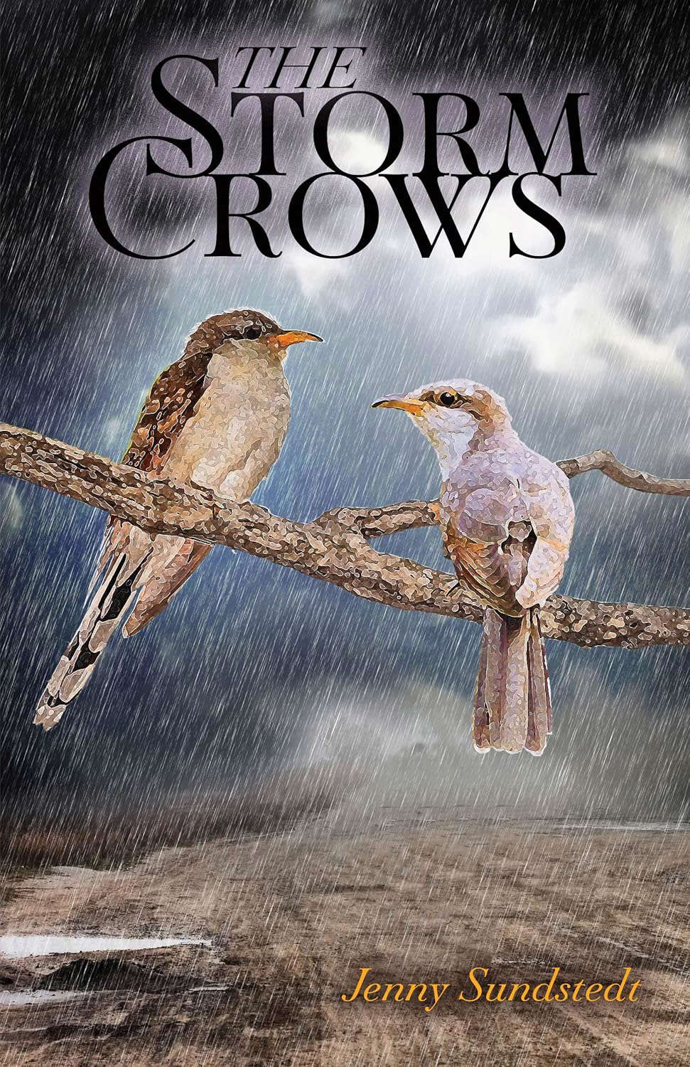 The Storm Crows poster