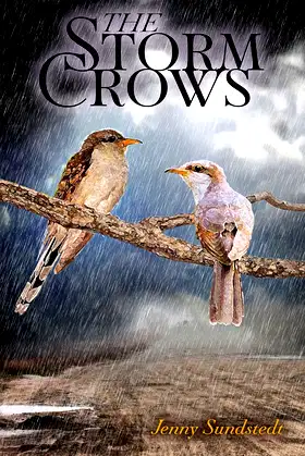The Storm Crows poster