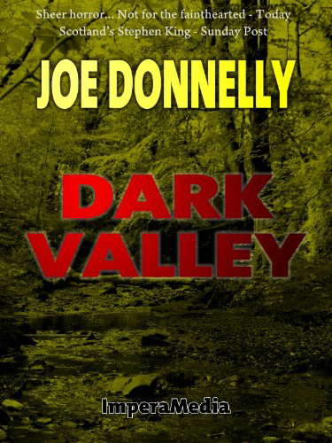 Dark Valley poster
