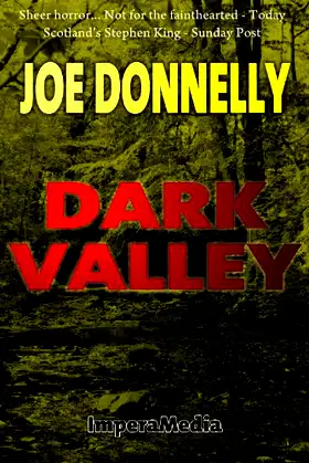 Dark Valley poster
